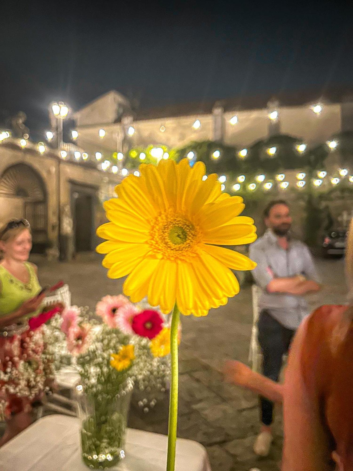 Palazzo Capece Homestay
